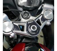 labelbike 3D Motorcycle Fork Plate Sticker compatible with Triumph | Daytona 660 2024, Steering Resin Protection, Anti-scratch, Decoration, Carbon