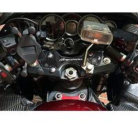 labelbike - 3D Sticker Motorcycle Steering Fork Plate Protection and Decoration in Resin compatible with Suzuki Hayabusa 2008-2016