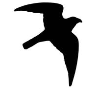 Labels Nobby Pet Bird Of Prey (x10)