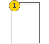 LABELS4U 100 Sheets A4, 1 Label per Sheet, Size 210 x 287mm, with 10mm Face-Slit for Easy Peeling (100 Labels)