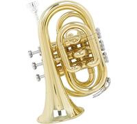 LABLADUO Bass Trumpets, Professional mini trumpet Professional Palm Trumpet Brass Horn Student Beginner Brass Mini Trumpet Instrument