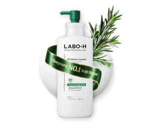 LABO-H Scalp Strengthening Shampoo for Hair Growth and Anti-Hair Loss | Vegan Hair Care Routine with Ceramide, Rosemary Oil, Biotin & Caffeine, Paraben Free