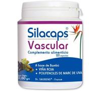 Labo Sante Silice Silacaps Vascular 120 capsules