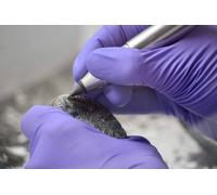 Laboratory Experience at the Yorkshire Natural History Museum (4 People)
