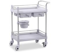 Laboratory Trolley 2 Shelves Each 53 x 38 x 14 cm 2 Drawers 40 kg - Laboratory Trolleys by Steinberg Systems Silver