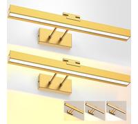 LABOREDUCER Picture Lights for Wall,Battery Operated Picture Light Brass Gold 4000mAh Rechargeable with Remote,Cordless Art Light Adjustable Degree with Magnet,Dart Board Lights 2 Pack