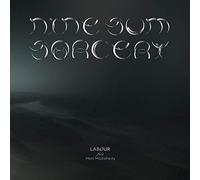 Labour Feat Hani Mojtahedy Nine - sum Sorcery 12" vinyl Germany Studio Labour