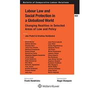 Labour Law and Social Protection in a Globalized World: Changing Realities in Selected Areas of Law and Policy (Bulletin of Comparative Labour Relations Series)
