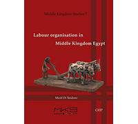 Labour organisation in Middle Kingdom Egypt: 7 (Middle Kingdom Studies)
