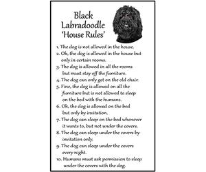 Labradoodle Black Dog Gift - House Rules - Large Fun flexible Fridge Magnet- size 16cms x 10 cms (approx. 6" x4")