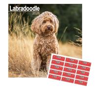 Labradoodle Calendar 2026 | 16 months | Sept 25 - Dec 26 | with FREE Organisational Stickers