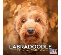 Labradoodle Calendar 2026-2027, 16-Month 12x12 Wall Calendar