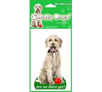 Labradoodle (Cream) Dog Gift - 2 x Delightful Car Air Fresheners
