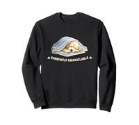 Labradoodle currently unavailable Sleeping Dog Sweatshirt