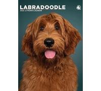 Labradoodle Dog 2026 Calendar, A3, Wirobound, Full Colour