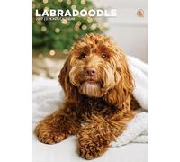 Labradoodle Dog 2027 Calendar, A3, Full Colour, Wirobound (CRU)