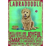 Labradoodle Dog Small Hanging Metal Sign Wall Decor Plaque - Joyful, Smart, Will Jump up Constantly