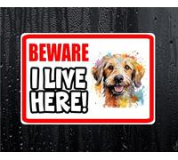 Labradoodle Sticker Beware I Live HERE House Home Window Door Porch Decal