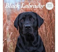 Labrador Black 2026 Deluxe Calendar