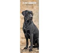 Labrador Black 2027 Slim Calendar