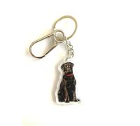 Labrador Black Lab Dog Gift. Hanging Acrylic Keyring with double-sided image. For Keys, Accessories for Handbags and Backpacks. A beautiful gift for many occasions, birthdays, Christmas.