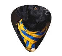 Labrador Bone Guitar Picks Gift Set - 12 Smooth Durable Plectrums For Acoustic, Electric & Bass Guitar, Perfect Present For Guitar Lovers & Musicians