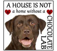 Labrador Chocolate Lab Dog Gift A "House is not a Home" Flexible Fridge Magnet, size 5" x 5". Suitable for refrigerators, filing cabinets and other steel surfaces.