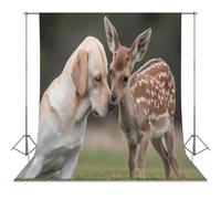 Labrador Dog And Deer Photo Studio Backgrounds Black Photography Backdrop for Portrait Video Shooting Live 56"x118"
