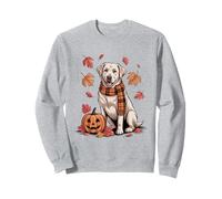 Labrador Dog Lover Pumpkin Fall Autumn Thanksgiving Sweatshirt