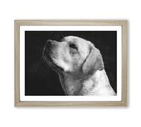 Labrador Dog Painting Modern Art Framed Wall Art Print, Ready to Hang Picture for Living Room Bedroom Home Office Décor, Oak A2 (64 x 46 cm)