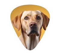 Labrador dog portrait Guitar picks in thin, medium, and thick sizes, 12-piece set, suitable for electric guitar and various instruments