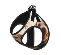 Labrador Dog Print Pet Leash Vest Soft Adjustable Step in Puppy Vest Outdoor Walking with Leash