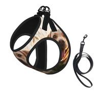Labrador Dog Print Pet Leash Vest Soft Adjustable Step in Puppy Vest Outdoor Walking with Leash