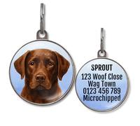 Labrador Dog Tag - Black, Yellow & Chocolate Lab Designs - Add Text to Back - Waterproof Double-Sided Pet ID Tag - 2 Sizes - 4 Background Colours (Chocolate Labrador)