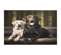 Labrador Door Mat Modern Absorbent Entryway Floor Mats Non-Slip Indoor Carpet Soft Washable Area Rugs Dog Mat Kitchen Mats for Home Decor Crystal Velvet Doormat