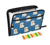 Labrador Golden Retriever Dog Expanding File Folder, 13 Pockets Accordion Document Organizer Expandable Filing Folders Letter A4, Paperwork Organizer for Home Work Travel