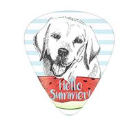 Labrador Guitar Picks 12 Pack Universal ABS Guitar Picks,Hello Summer Quote with a Sketch Style Retriever Dog and Fresh Watermelon Slice,for Acoustic and Electric Guitar