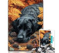 Labrador in Autumn 1000 Piece Jigsaw Puzzle for Adults And Teenagers,Quiz Game Wall Decoration Unique Birthday And Xmas Gifts 38x26cm