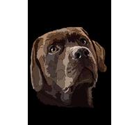 Labrador Notebook: Chocolate Lab: Labrador Retriever Composition Notebook 120 College Ruled Lined Pages 6x9 Labrador Gift Book for Women Mom Mommy Girl Men Daddy Dad Dog Lover