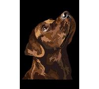Labrador Notebook: Chocolate Lab: Labrador Retriever Composition Notebook 120 Grid Ruled Graph Pages 6x9 Labrador Gift Book for Women Mom Mommy Girl Dad Men Daddy Dog Lover