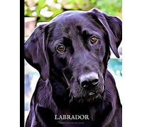 Labrador Owners Record Notebook: Keep Important Records Safe - Vet treatments, Medication, Expenses, Pet Sitter Notes, Keep a journal of your Labrador, training, memories and more (great gift idea)