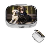 Labrador Pill Box 2 Compartment Medicine Pill Organizer Square Pill Case for Purse & Pocket Travel Pillbox Portable Metal Medicine Vitamin Fish Oil Organizer Unique Gift