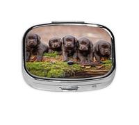 Labrador Puppies Brown Little Puppies Family,Meta Pill Box 2 Compartment Medicine Case,Portable Organizer