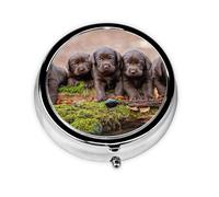 Labrador Puppies Brown Little Puppies FamilyMeta Pill Box 3 Compartment Medicine Case,Portable Organizer