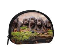Labrador Puppies Brown Little Puppies FamilySmall Makeup Sanitary Napkin Storage Bag,Women's Cosmetic Coin Purse