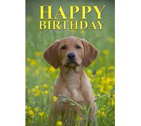 Labrador Puppy Birthday Card - A5 Size (Folded) | Featuring Yellow/Fox Red Lab Pup | Eco-Friendly & UK Printed | Photography by Charles Sainsbury-Plaice