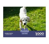 Labrador Retriever 1000 Piece Impossible Jigsaw Puppy Walks on Lawn Challenging Game for Adults Kids Great Gift 70x50cm/1000pcs