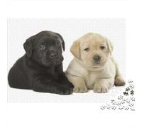 Labrador Retriever 1000 Piece Jigsaw Puzzle for Adults | Challenging Educational Game Two Lab Puppies (black And Yellow) Lie Together Great Gift Idea 38x26cm/1000pcs
