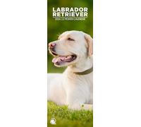 Labrador Retriever 2026 Wall Calendar, 12-Month Slim Format, Made in England