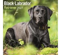 Labrador Retriever Black Wall